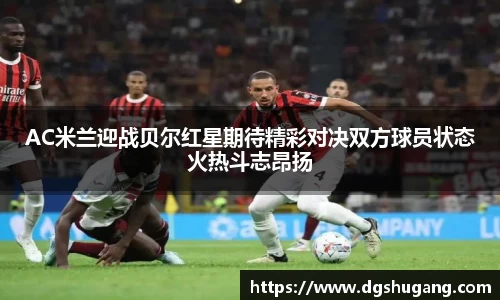 AC米兰迎战贝尔红星期待精彩对决双方球员状态火热斗志昂扬